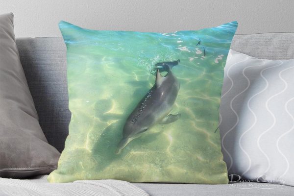 Samu - Baby Dolphin, Monkey Mia, Shark Bay, Western Australia, Wildlife Cushion Cover (CCW1.2-V1-CC1)