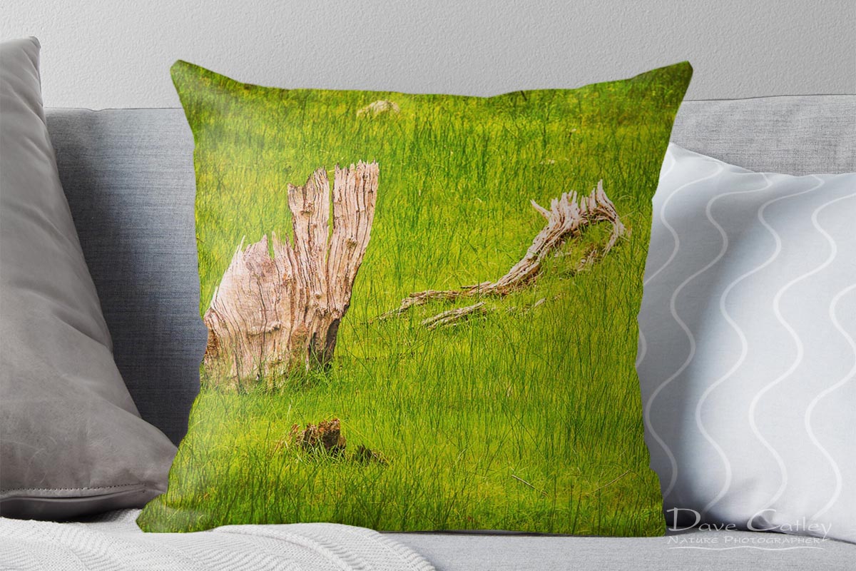 Sailing the Sea of Grass - Bells Rapids, Swan Valley, Perth, Western Australia, Landscape Cushion Cover (BRV1.1-V1-CC1)