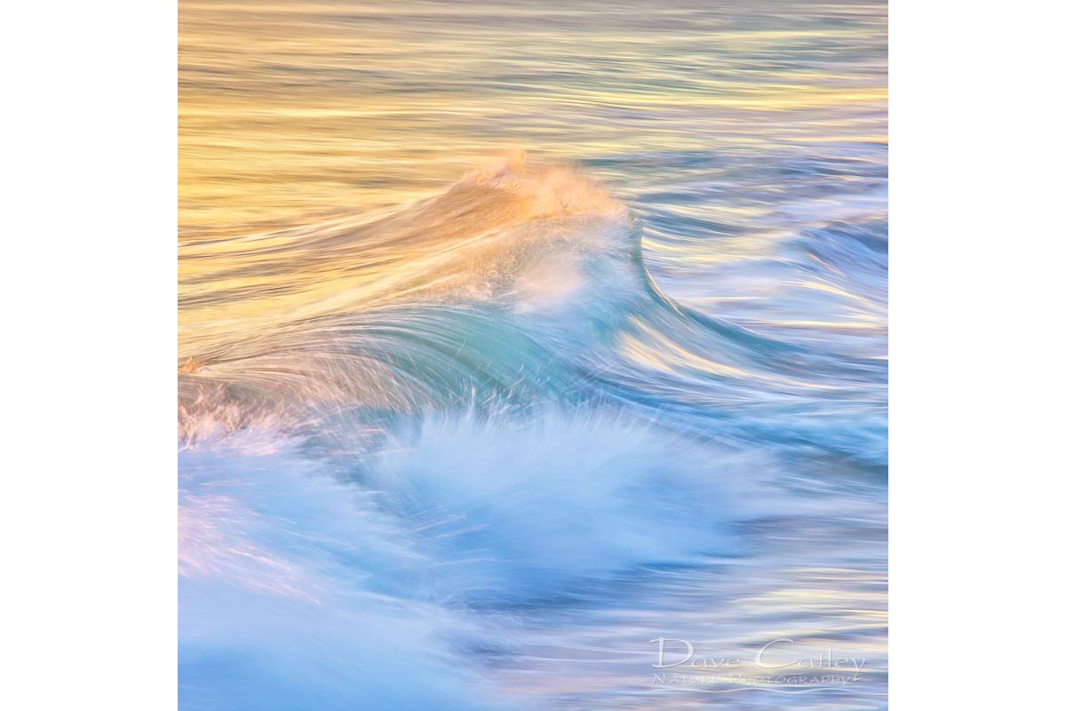 Waves in Motion 1 - Indian Ocean, Quinns Rocks, Perth, Western Australia, Seascape Cushion Cover (WIM1.1-V1-CC1)
