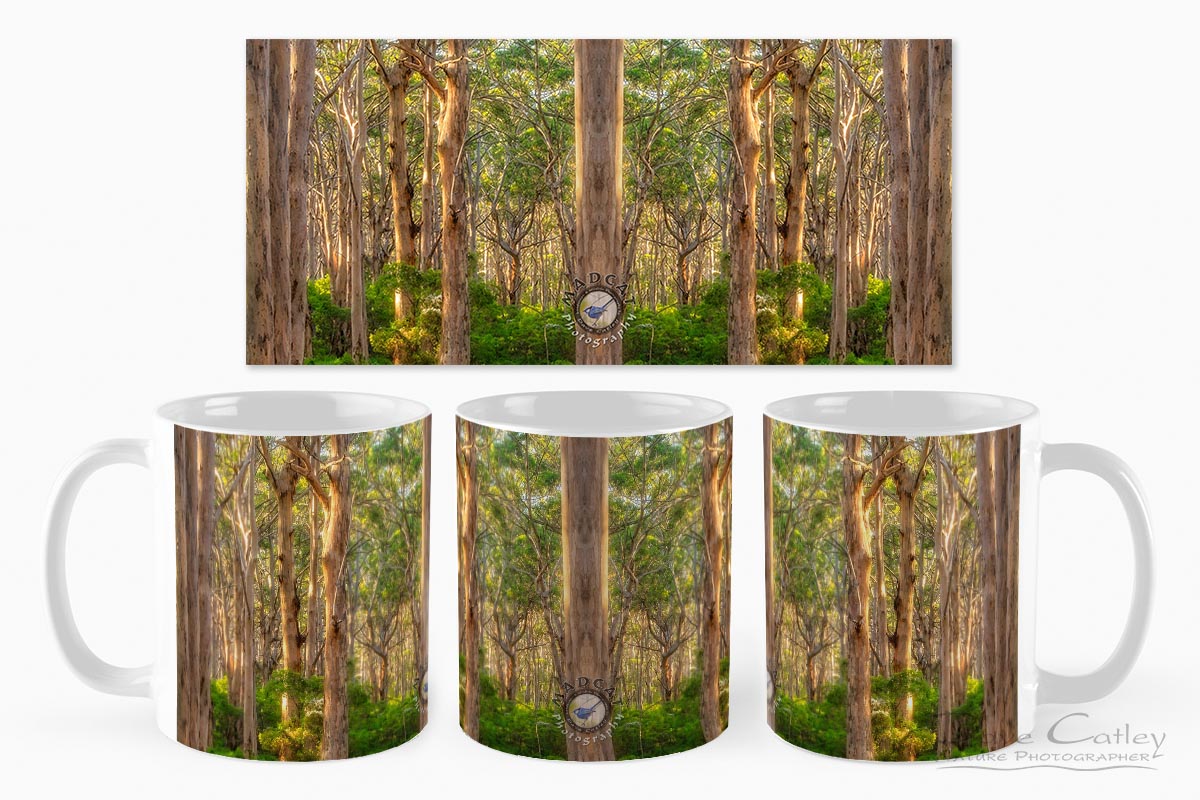 Forest Twilight 2 - Karri Trees, Boranup Forest, Margaret River, Western Australia, Landscape Mug (BFV1.2-V3-MG1)