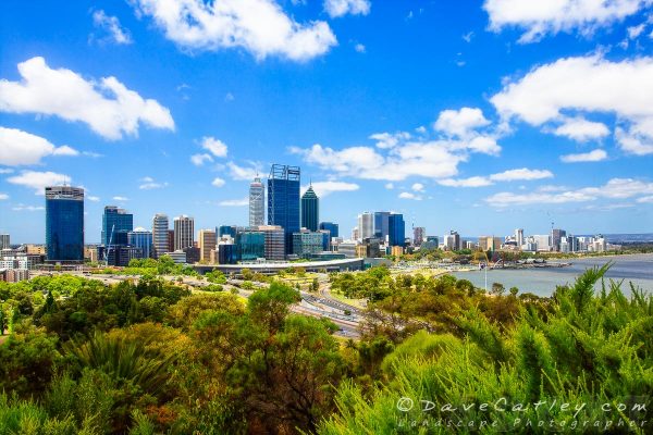 Perth City Skyline from Kings Park, Western Australia - Photographic Art