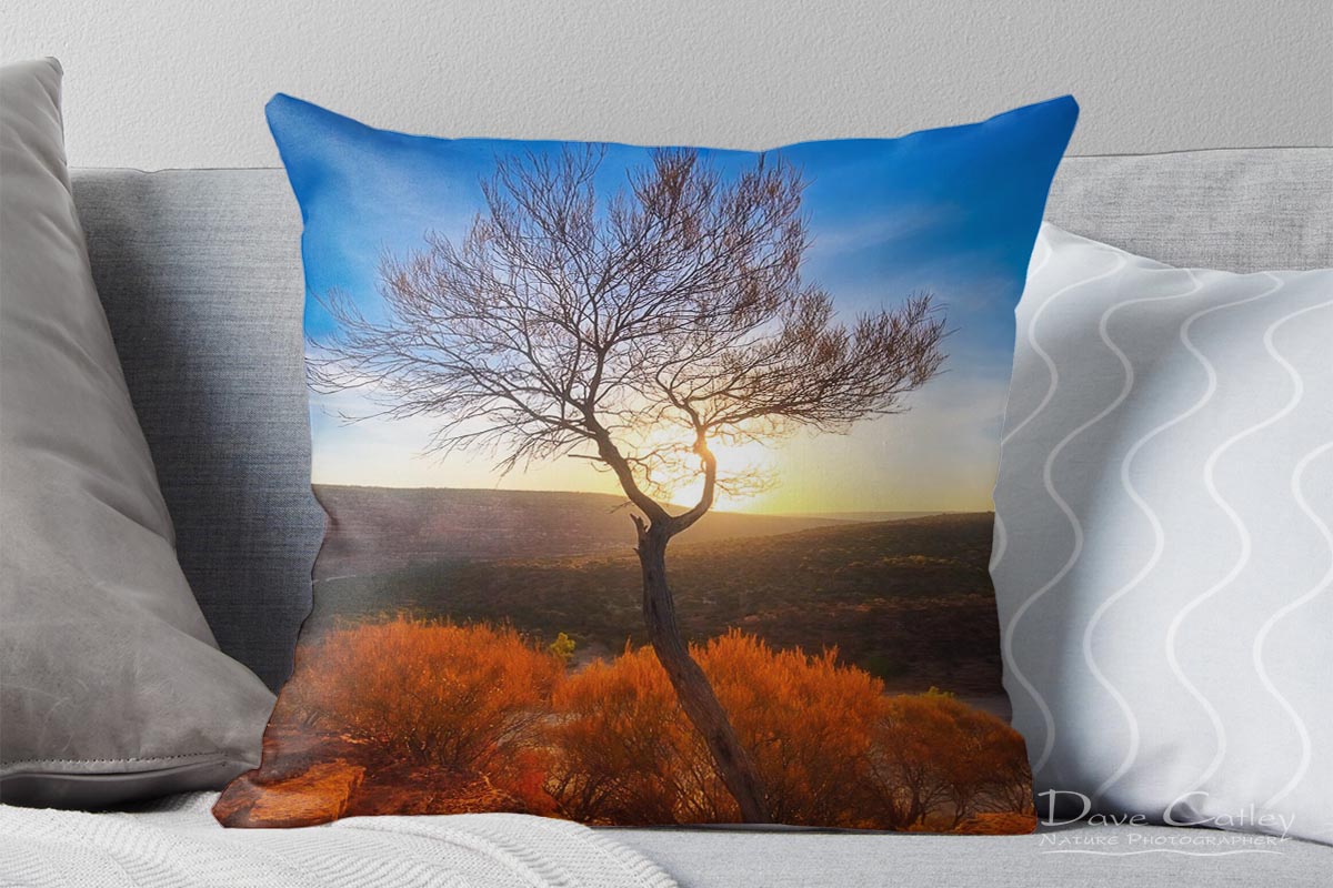 Dead River Tree - Sunset, Murchison River, Kalbarri, Western Australia, Landscape Cushion Cover (KNP1.1-V1-CC1)
