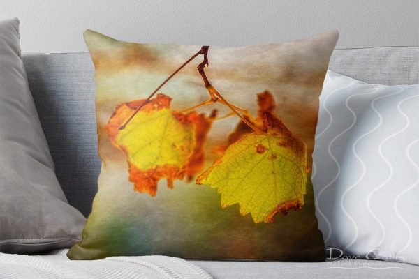 Autumn Vines 1 - Vine Leaves, Mindarie, Perth, Western Australia, Flora Cushion Cover (CVA1.1-V1-CC1)